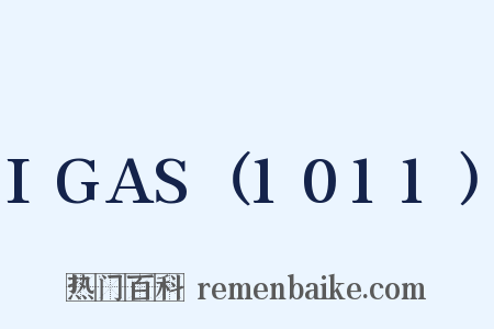 IGAS（1011）是什么意思的图片